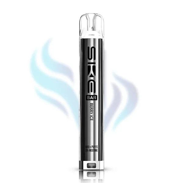 SKE Bar Berry Ice flavour disposable vape in a metallic grey finish, 600 puffs, 2% (20mg) nicotine, sweet mixed berry and cool menthol flavour.